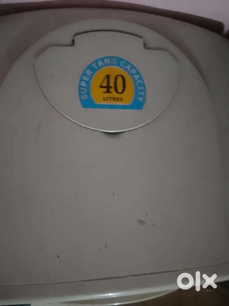 In average condition 2 year old