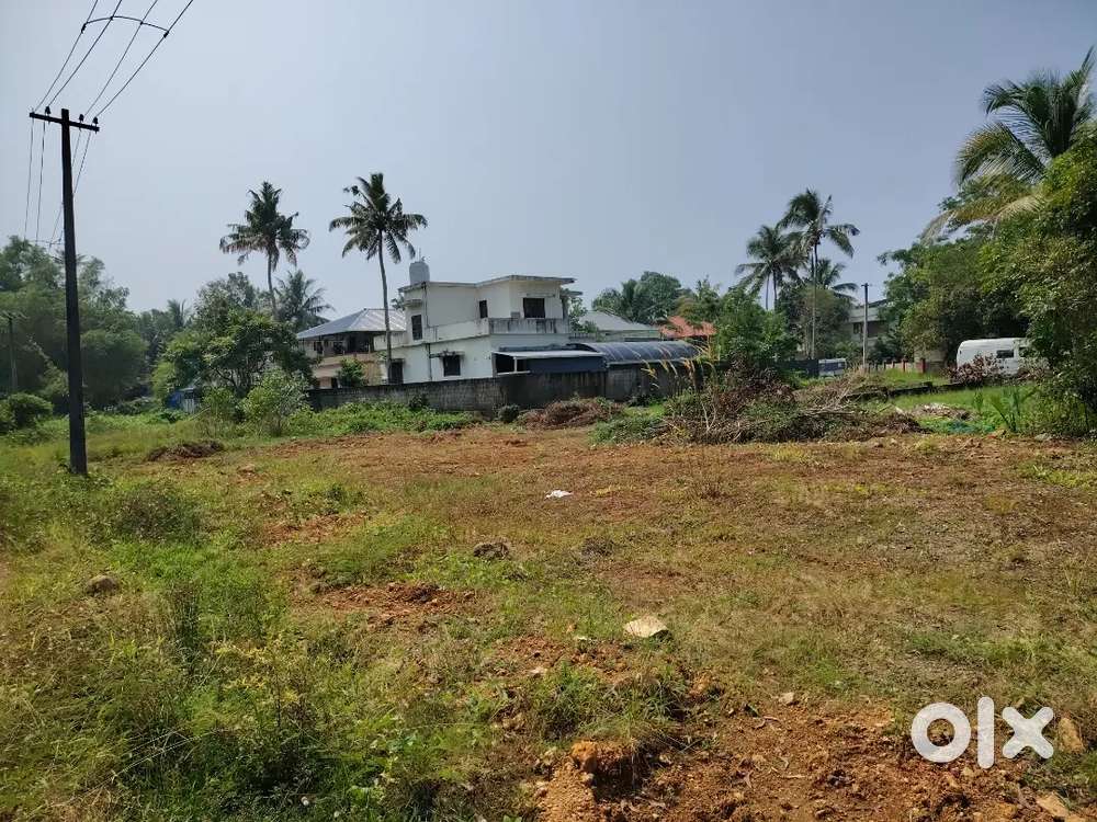 5, 7,10, 15  Cents house plot near kalavoor Block junction Alappuzha