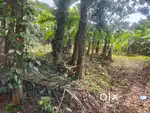 House plot for sale at Mathukoth