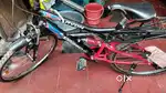 Avon Passion cycle
