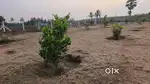 Best investment in Farmland at Pollachi to coimbatore NH road