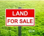 35 cent near FORUM MALL, 7 METER Road in  front. Asking 15.5 lakh