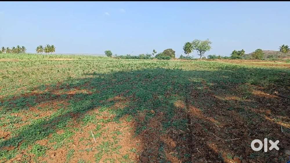 1 Acre 22 Gunta Agriculture land available for affordable price