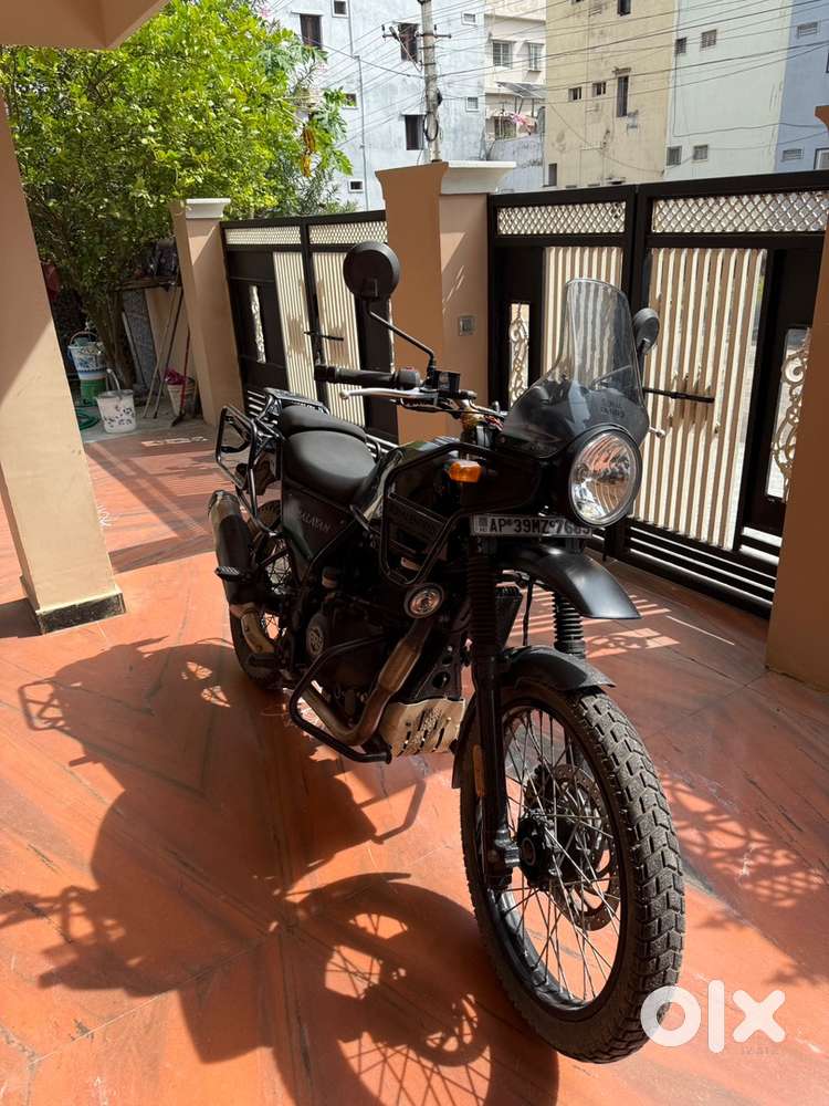 Royal Enflied Himalayan 411