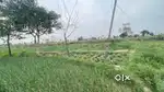 Commercial land on road nardiganj nawada road