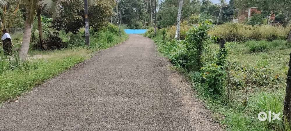 10cent ഒരു സെന്റിന്1.40പ്രതീക്ഷിക്കുന്ന വില പഞ്ചായത്ത് റോഡ്