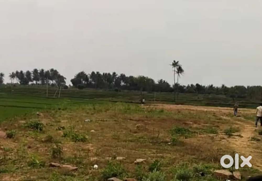 Empty land for rent in hosahalli near karekura gate , krs road