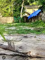 10 cent plot ചേർത്തല പുത്തനമ്പലം ടാർ റോഡ് സ്ഥലം വിൽപ്പനയ്ക്ക്