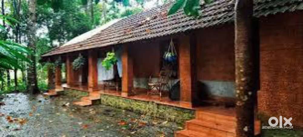 Pregnancy care and baby nursing