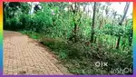 2 Acre Land Suitable for Resort