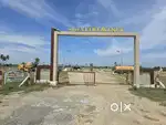 King's Realestate
