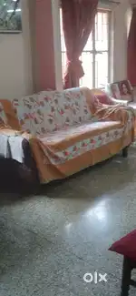 Furniture Sofa