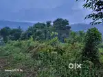 Bhoirymbong umpawin area 2acre duna 18lak