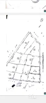 For sale patta suda plot 300 yards