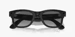 Ray-Ban Meta Wayfarer Smart Glasses-Blacj ,polarizes ,full set