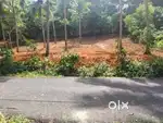 11 cent roadside plot for sale with free 3 cent on opposite side