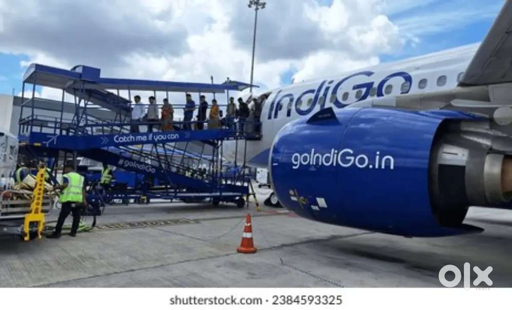 Indigo Airlines jobs Vacancy for Airport Ground staf/Driver/Cabin Crew