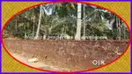 12 cents House Plot for sale in near Thondayad