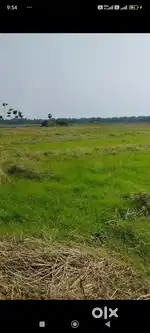 Farmland available for sale near South Kolkata Amtala. Buy and Build