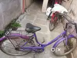 लेडीज सायकल