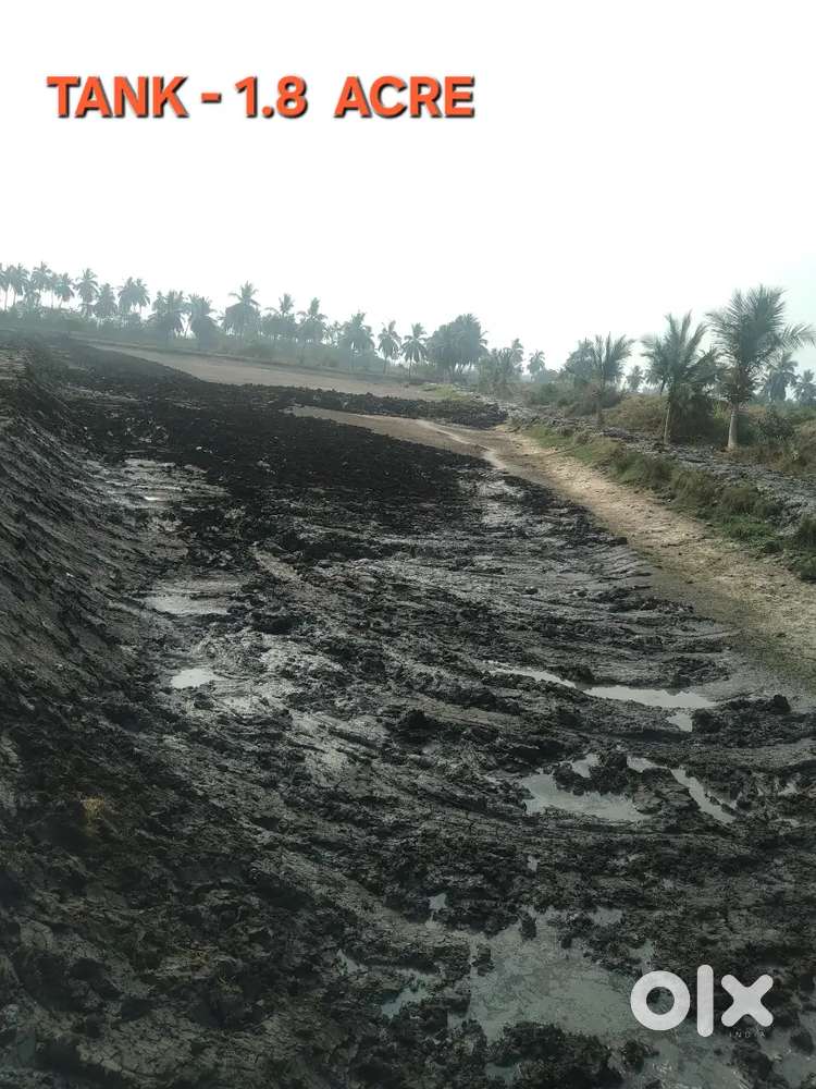 Aqua Pond ( water tank for fish and prawns farming)