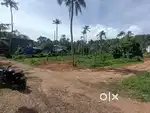 Nalanchira Thazhe Chittazha 2 Acer land sale 3.5 lakhs Cent, karaboomi