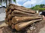 Teak wood 60 above