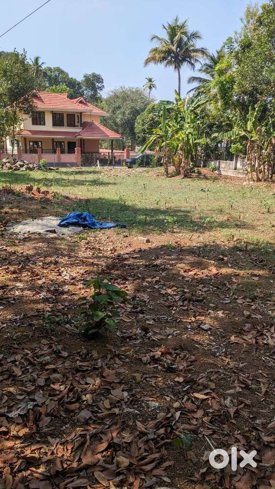 Premium 32.11 Cent Residential plot near Kadaikkadu ,Kollakadavu
