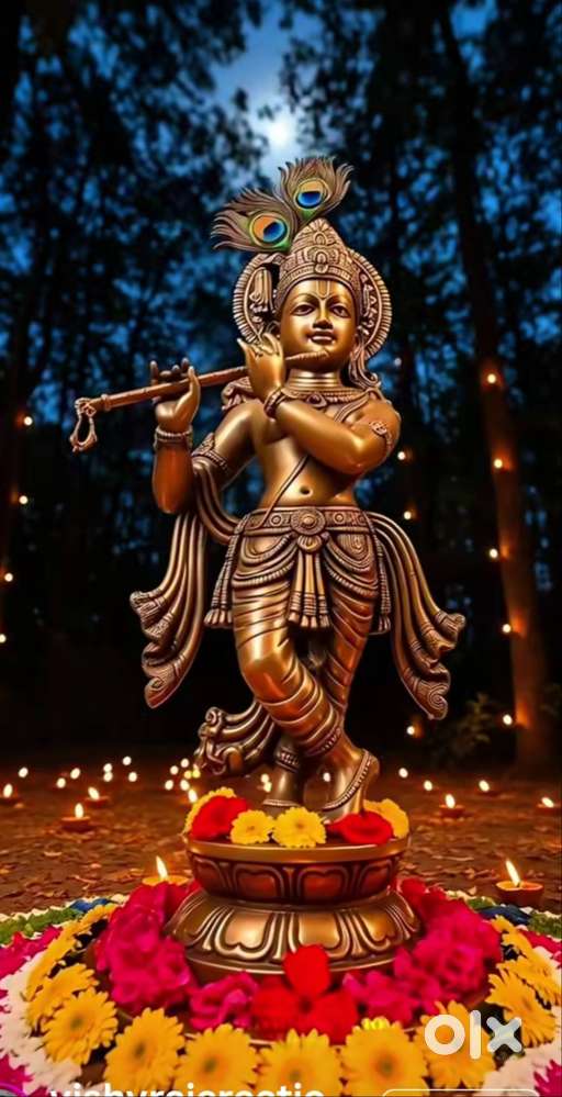 Safety officer Executive level