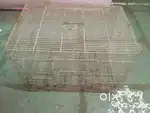 Bird cage and breeding kit