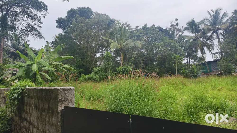 Land For Sale Puthencruz Ernakulam
