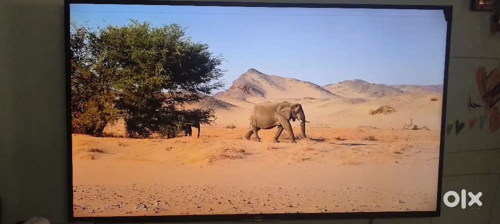 Sony 55 inch led android tv