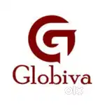 Sales executive
