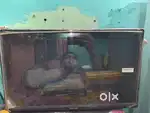 4 years old san_ash