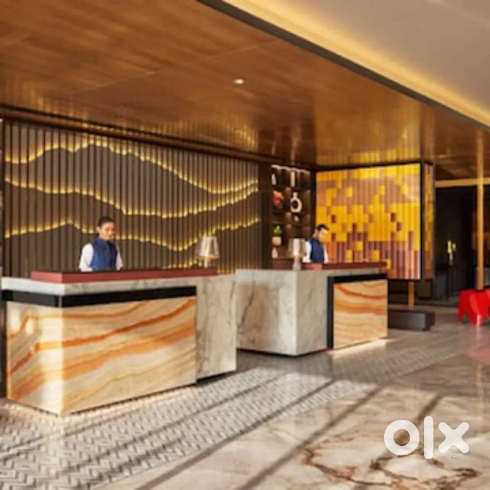 4/5 star hotels &bof restaurants job