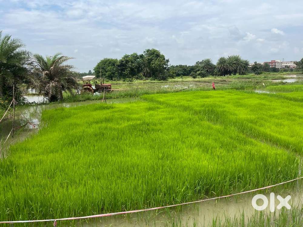 Agriculture land for sale in Narsapur Thunki Village 20 guntas