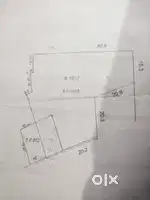 Urgent sale( massage send video)