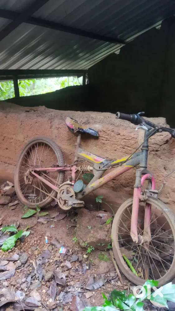 Cycle in working condition only for 3000₹