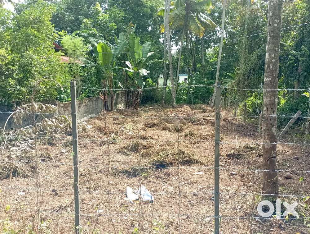 8.5 cent house plot for sale in edakkidom