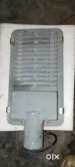 Halogen light