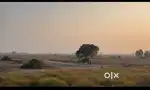 Prime Residential & Agricultural Land for Sale in Bihia, Bhojpur – ₹25
