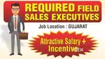 Field sales executive