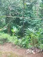 6acre land sale in makkuvally