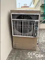 Summer cooler