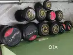 Dumbells set