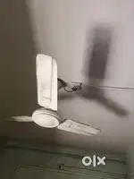 Fan on sell