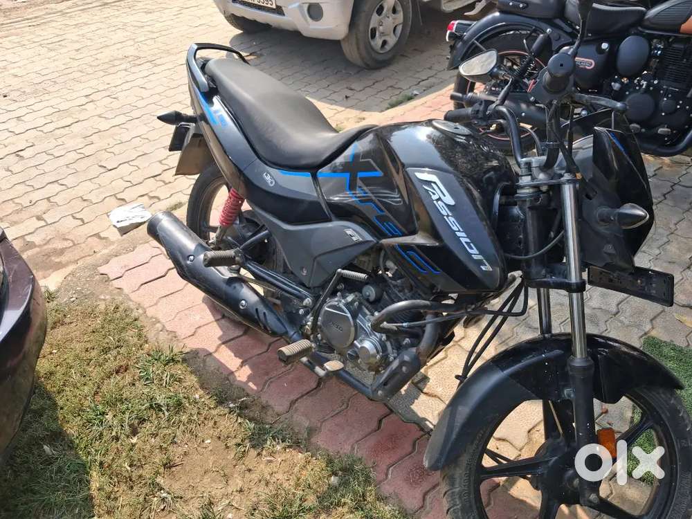 Passion xtec New model 2023