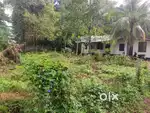 Kolangattukara 4.5 cents plot for sale