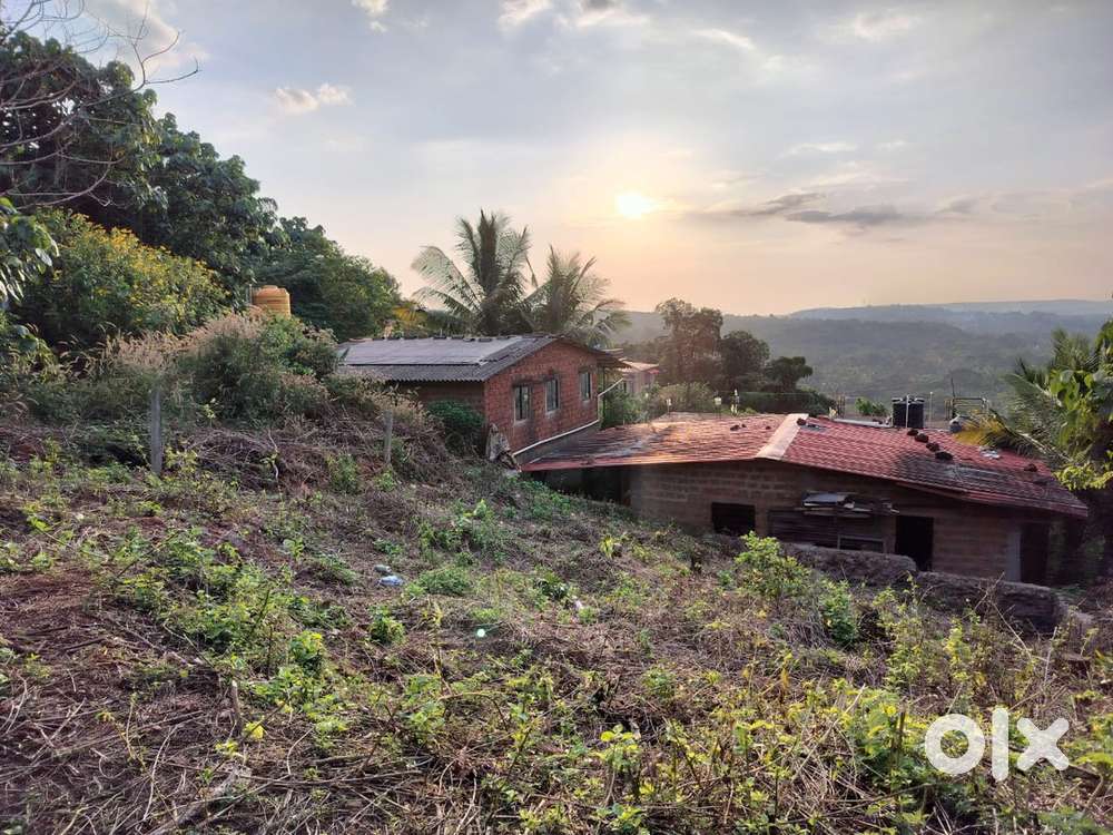 234 sqmtr orchard plot