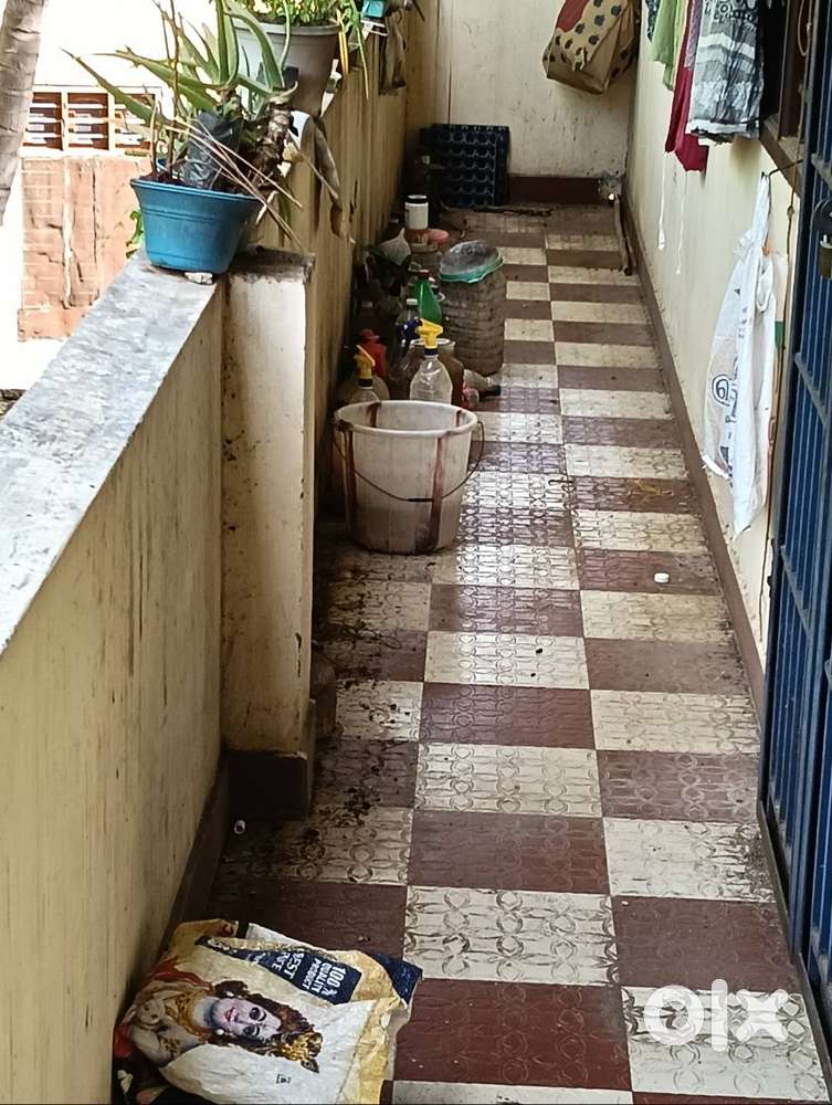 Rental house available